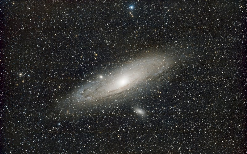 Galactic Garden