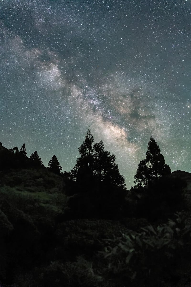 Celestial-themed Wedding
